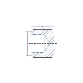 3/4" FNPT Brass Pipe Cap, 600 PSIG