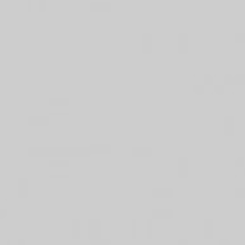 1 Gallon Aluminum Metallic Watson Roll Coating