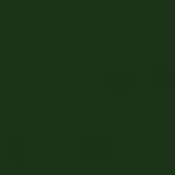 5 Gallon Olive Drab Watson Roll Coating