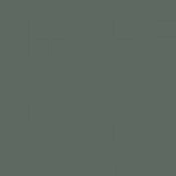 5 Gallon Gray Watson Roll Coating