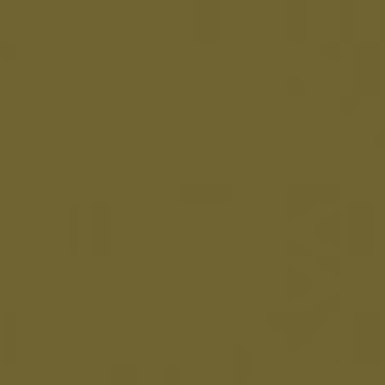 5 Gallon Focal Beige Watson Roll Coating