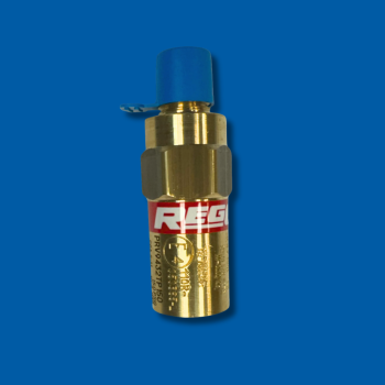 RegO Relief Valve 1/4" NPT Settings to 160 PSIG, PTFE Seat