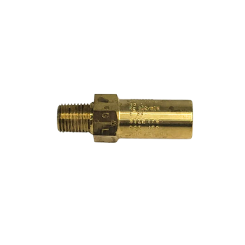 Atmospheric Pressure Relief Valve, 1/4 NPT, 700 PSI, Discharge Capacity: 23.2