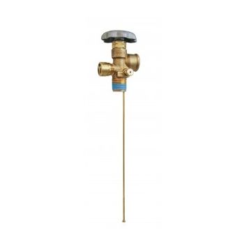 DOT 100# Service Valve 3/4''NGT Inlet x F.POL Outlet - 375PSI w/10.6 Diptube LE Vent