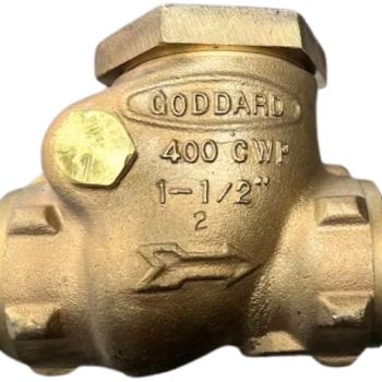 Rego Goddard Valve Swing Check Bronze Threaded 2" Soft Seat